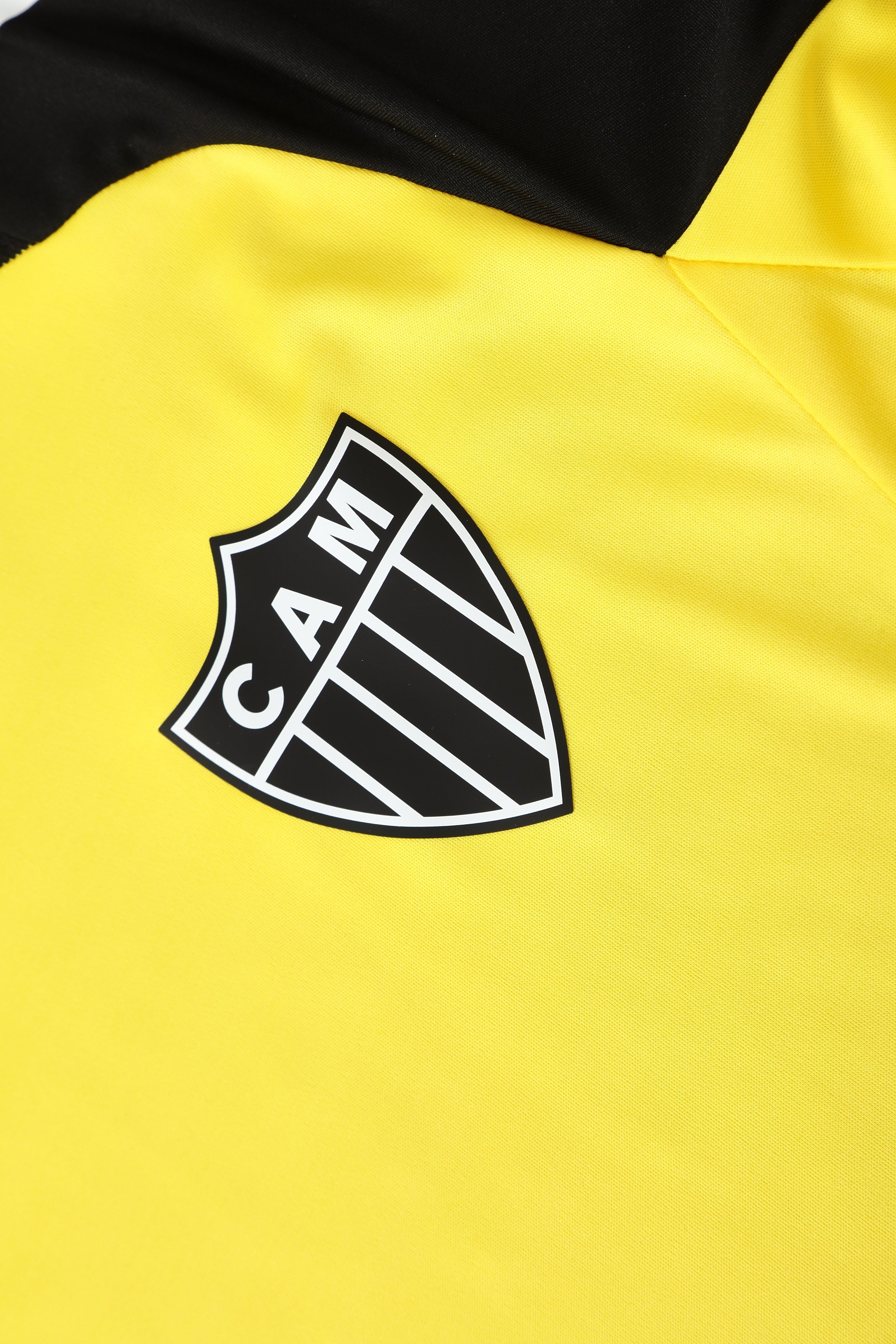 Atletico Mineiro 2025